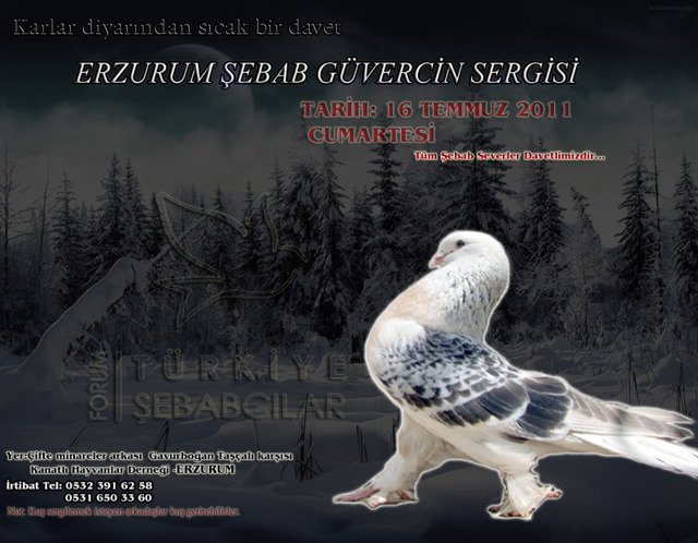 şebap